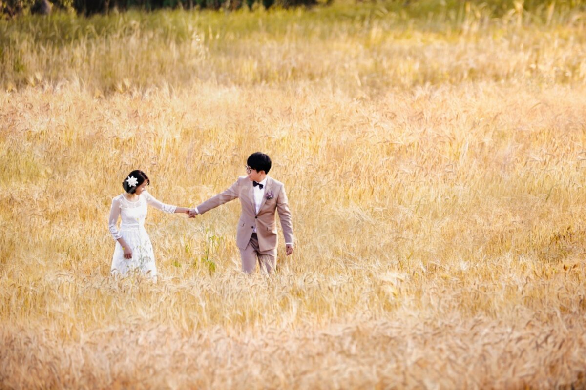 Best Months for Jeju Pre-Wedding: Weather, Flowers & What to Expect Each Season
