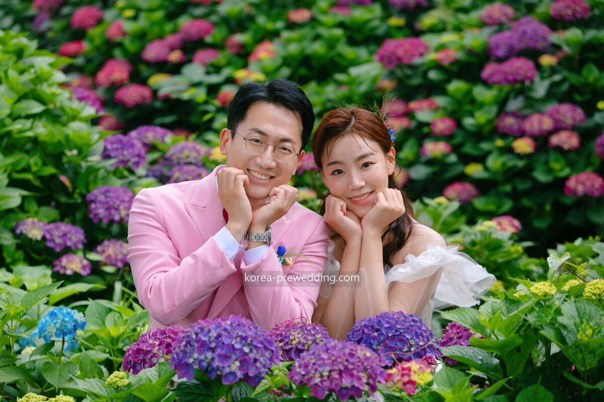 Jeju Hydrangea Season Pre-Wedding Guide: June Blooms & Best Spots 2026